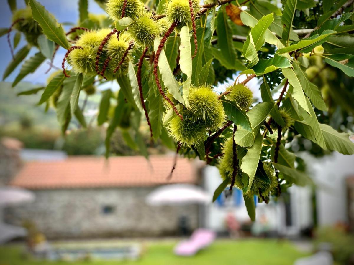 Casa Do Milhafre - Villaverde *